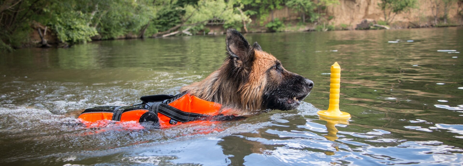 Equipment for dogs and dog sports
with a focus on mushing