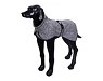 Rukka -  Dog jacket Comfy